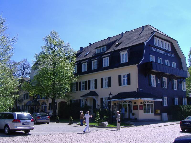 Parkhotel Adler Hinterzarten (2) 